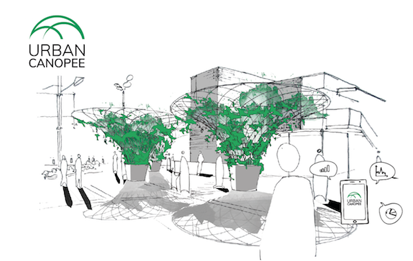 Projet de végétalisation urbaine Urban canopee. © Urban canopee